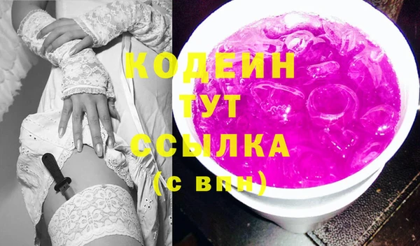 гашик Коряжма