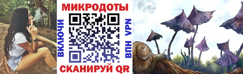 Псилоцибиновые грибы Psilocybine cubensis  закладки  blacksprut вход  Балашов 