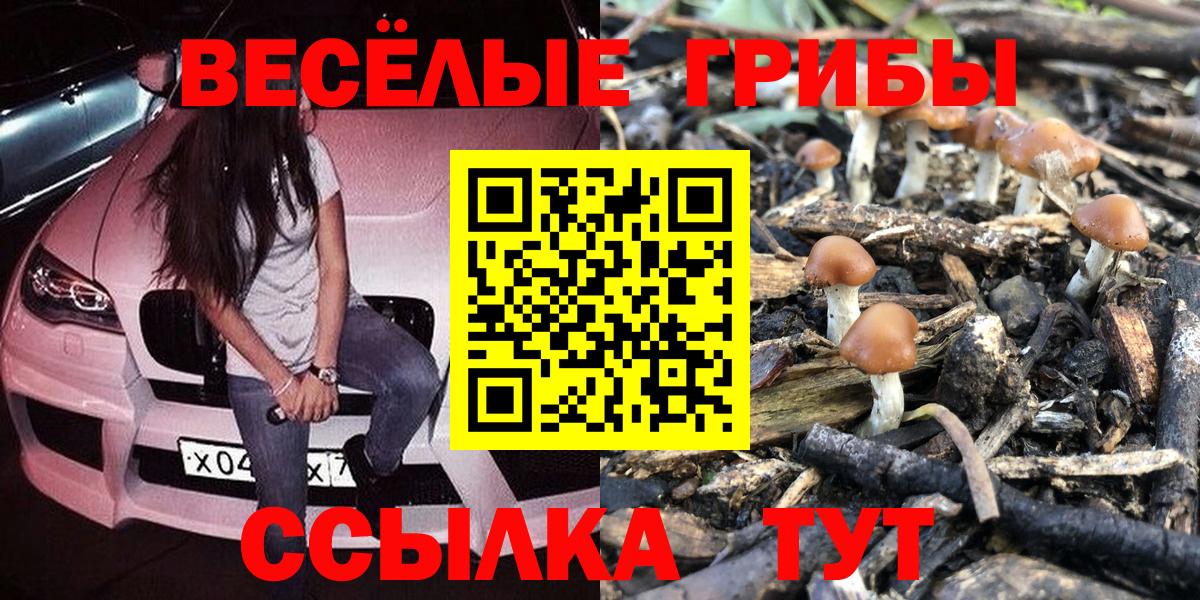 Галлюциногенные грибы ЛСД  дарнет шоп  Балашов  Вход с VPN  Галлюциногенные грибы Magic Shrooms 