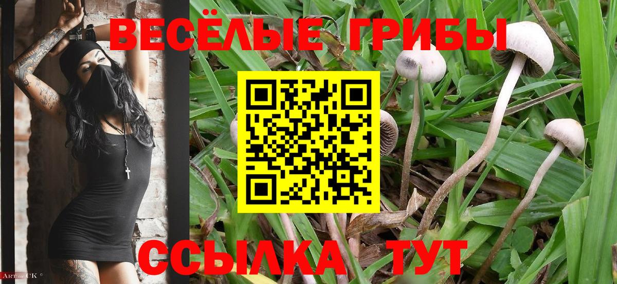 Галлюциногенные грибы ЛСД Балашов