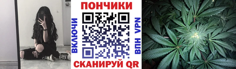 Конопля ГИДРОПОН Балашов
